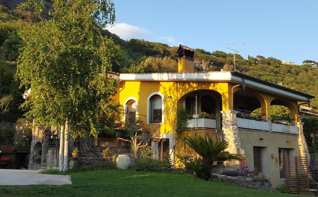 Il Nido Del Falco Castel Gandolfo Exterior photo