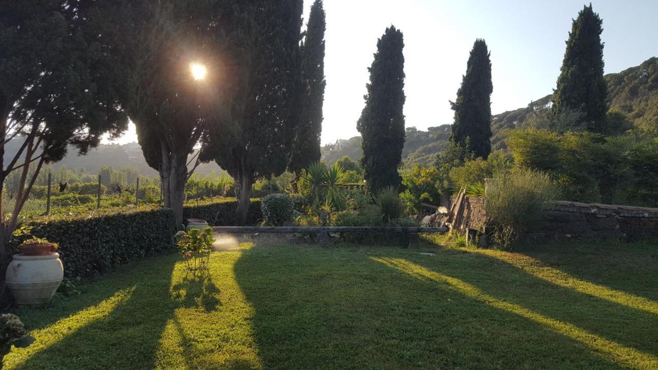 Il Nido Del Falco Castel Gandolfo Exterior photo